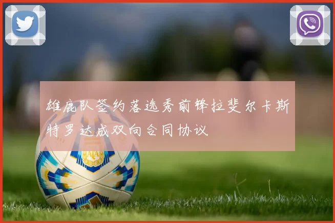 雄鹿队签约落选秀前锋拉斐尔卡斯特罗达成双向合同协议