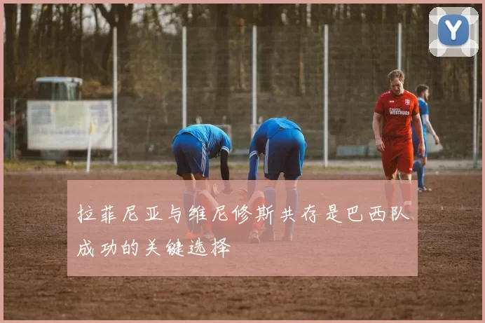 拉菲尼亚与维尼修斯共存是巴西队成功的关键选择